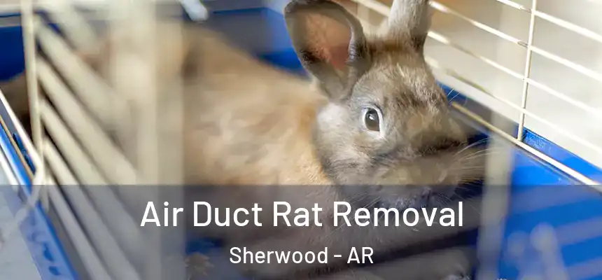  Air Duct Rat Removal Sherwood - AR