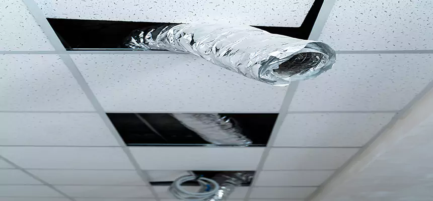 Affordable HVAC Sanitizing After Pest Removal in Sherwood