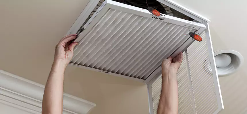 Our Insect Removal from Air Ducts Services in Sherwood, AR