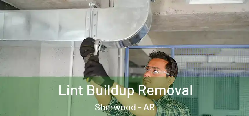  Lint Buildup Removal Sherwood - AR