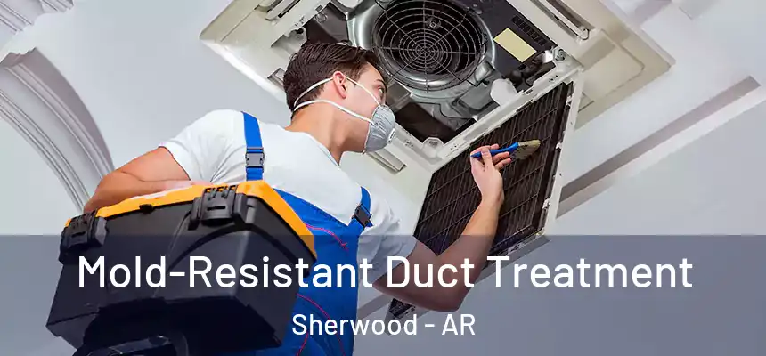  Mold-Resistant Duct Treatment Sherwood - AR