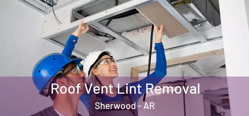 Roof Vent Lint Removal Sherwood - AR