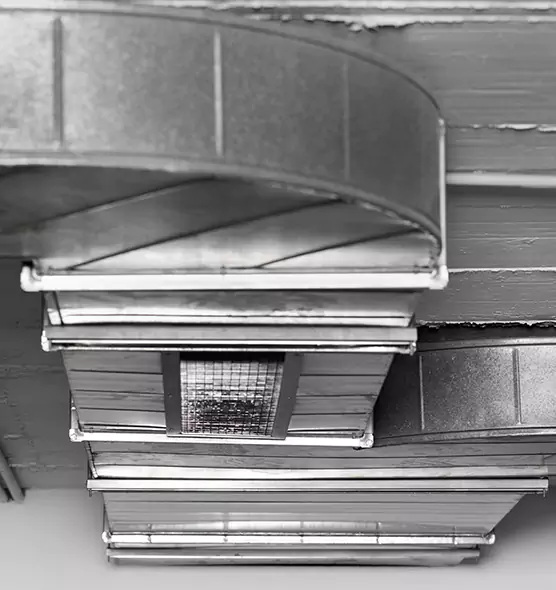 Professional Air Duct Pest Removal in Sherwood, AR