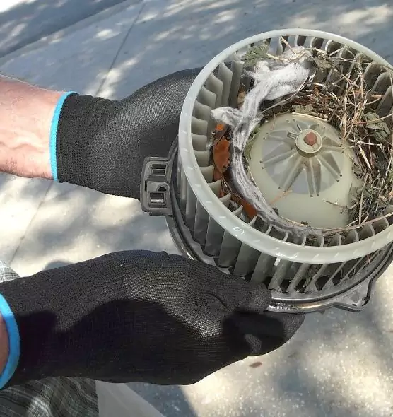 About Air Duct Rat Removal in Sherwood, AR