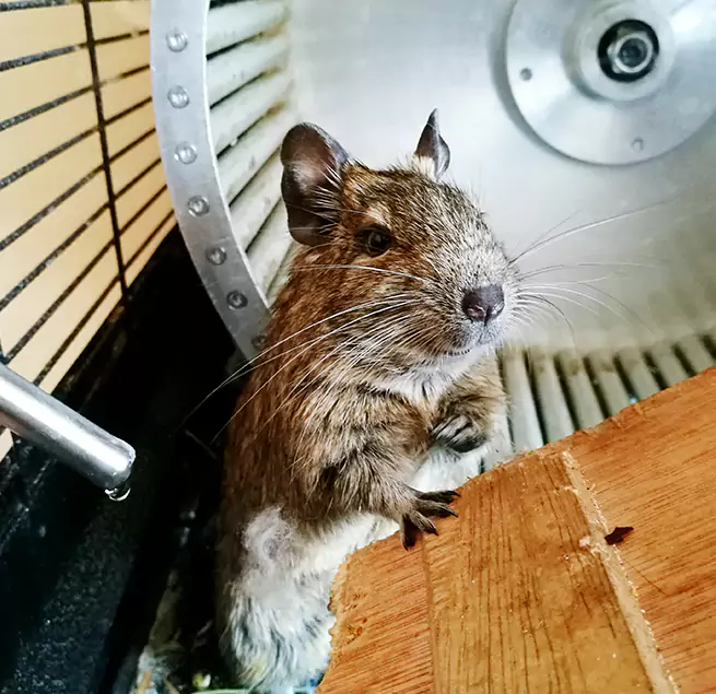 Why Homeowners & Businesses Trust Us Sherwood, AR