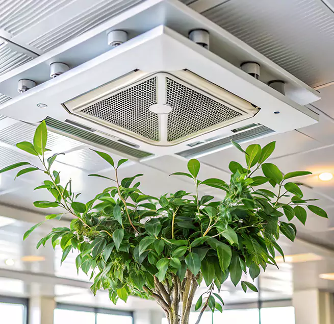 Why Homeowners & Businesses Trust Us in Sherwood, AR